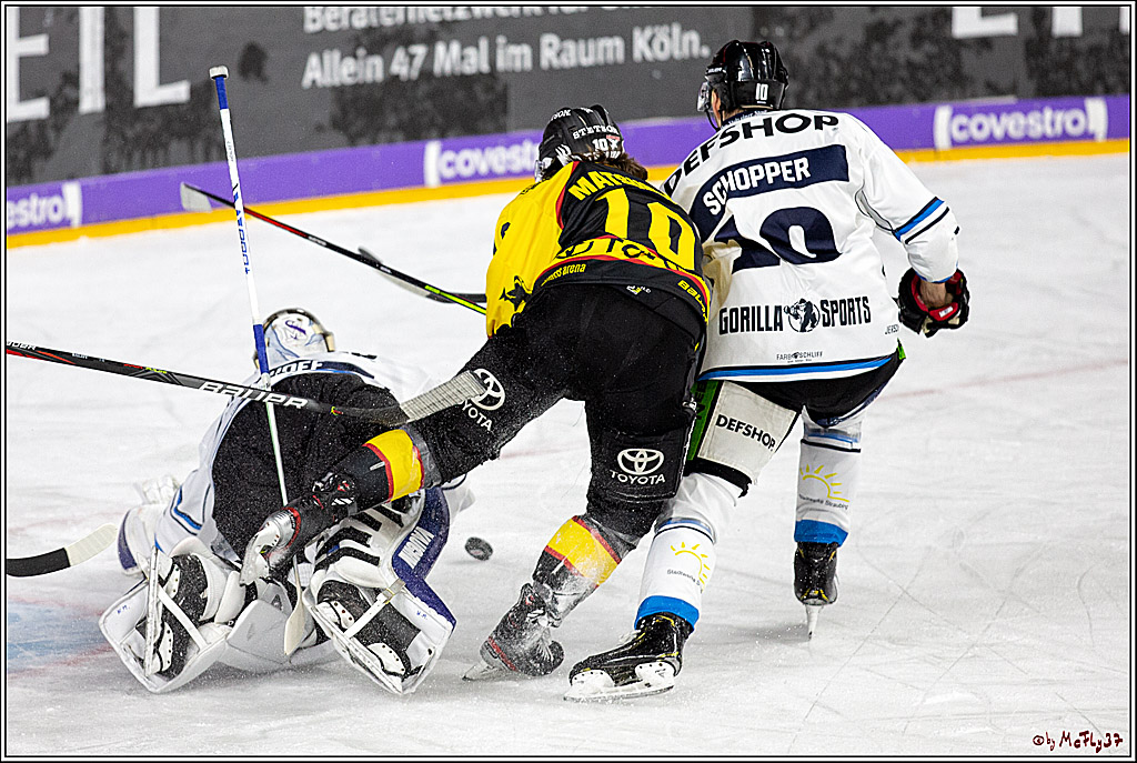 DEL;  Koelner Haie - Straubing Tigers; Koeln, 01.03.2020